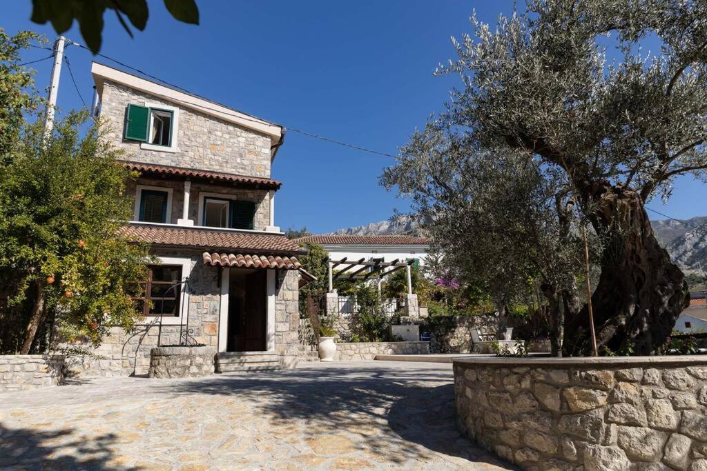 Stone façade of Villa Ella with olive trees and mountain backdrop